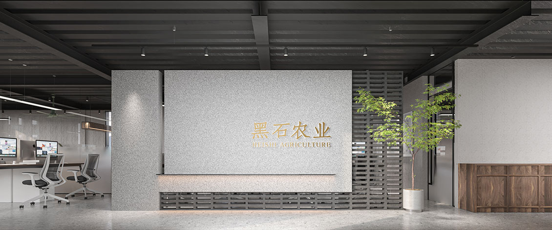 办公室logo墙 拷贝.jpg
